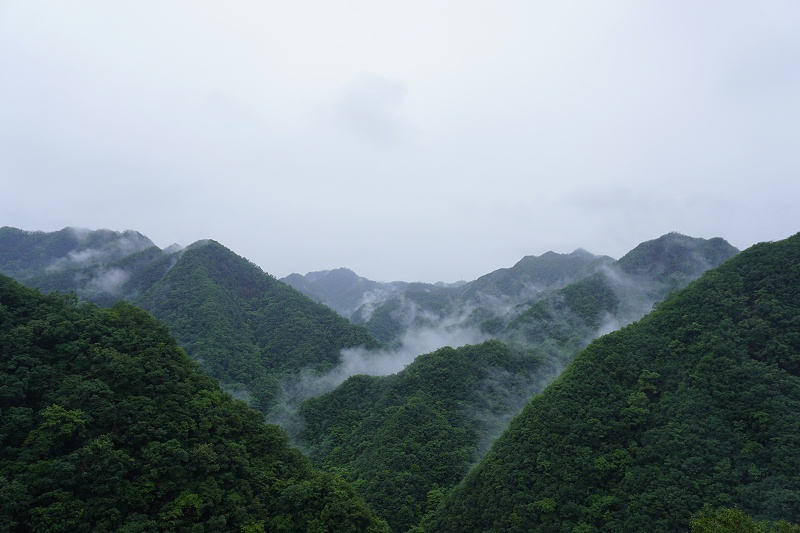 河南雙志團(tuán)建風(fēng)景圖